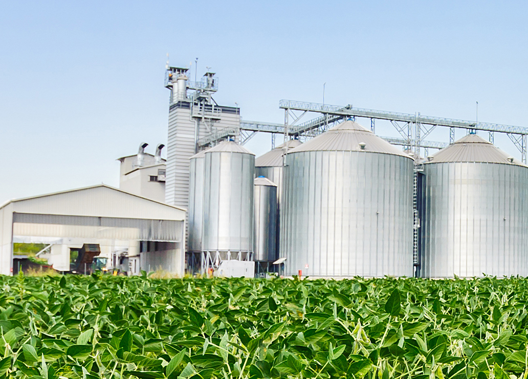 Barn and grain silos in corn field